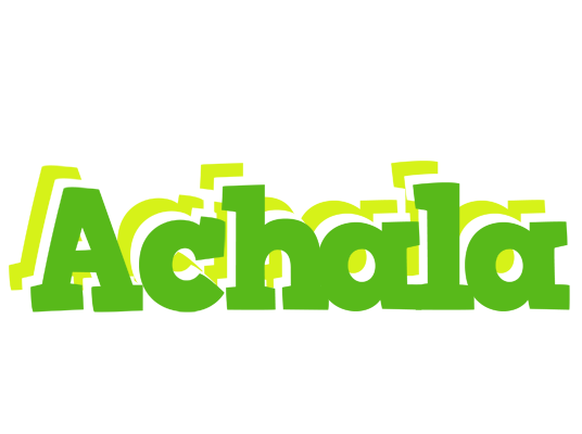 Achala picnic logo