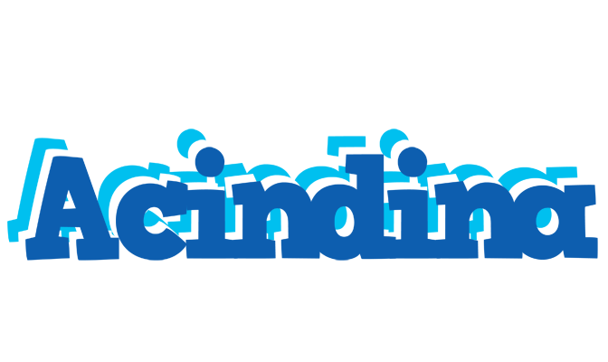 Acindina business logo