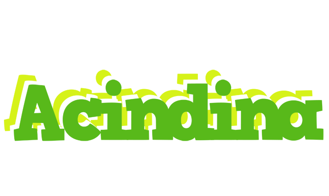 Acindina picnic logo