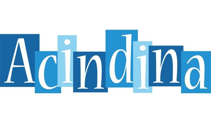 Acindina winter logo