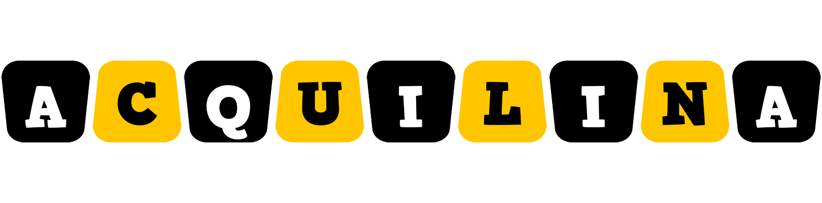 Acquilina boots logo