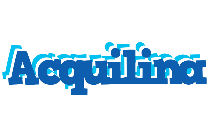 Acquilina business logo