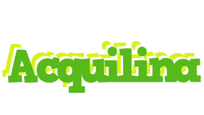 Acquilina picnic logo