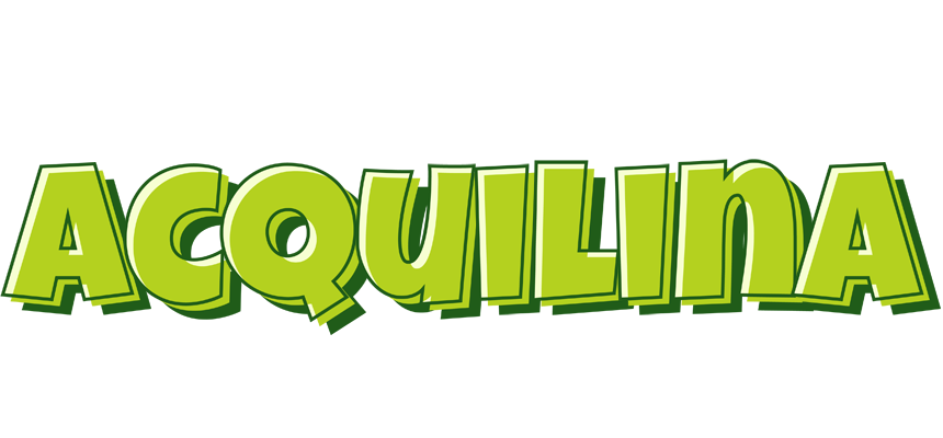 Acquilina summer logo