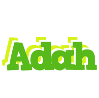 Adah picnic logo