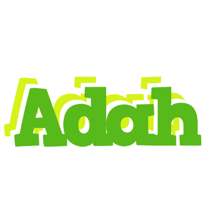 Adah picnic logo