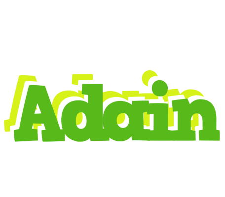 Adain picnic logo