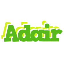 Adair picnic logo