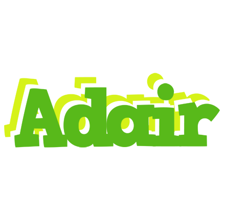 Adair picnic logo