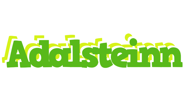 Adalsteinn picnic logo