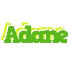 Adane picnic logo