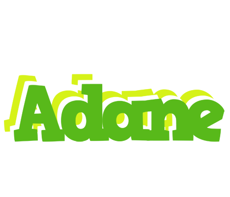 Adane picnic logo