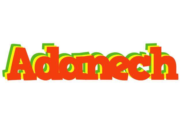 Adanech bbq logo