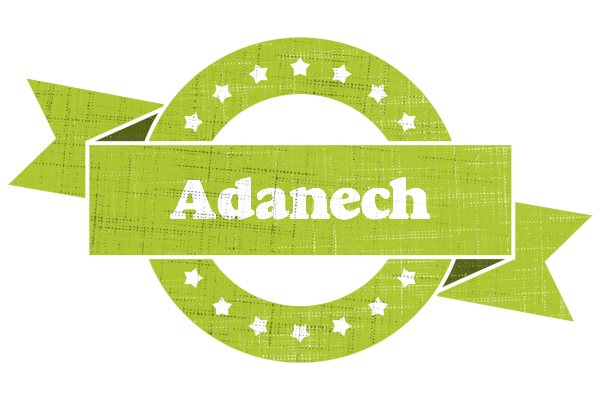 Adanech change logo