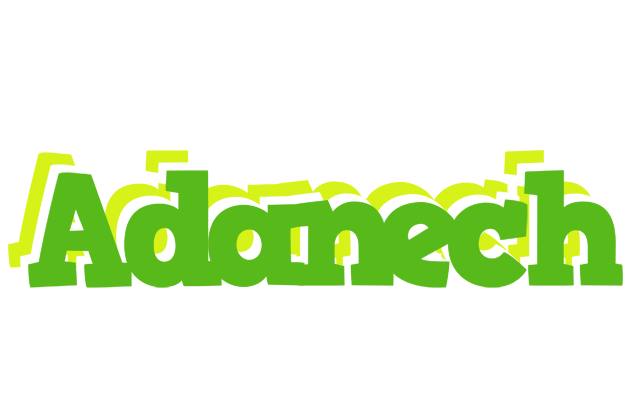 Adanech picnic logo