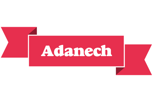 Adanech sale logo