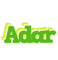 Adar picnic logo