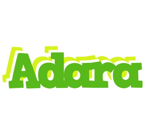 Adara picnic logo