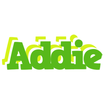 Addie picnic logo