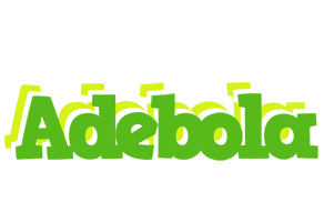 Adebola picnic logo