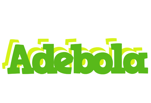 Adebola picnic logo