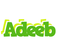 Adeeb picnic logo