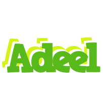 Adeel picnic logo