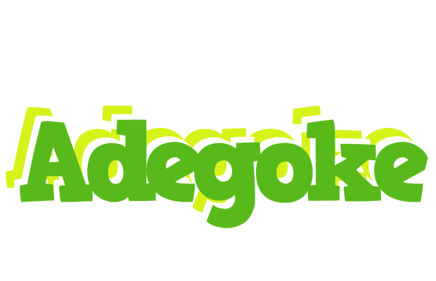 Adegoke picnic logo