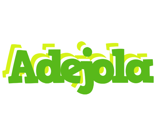 Adejola picnic logo