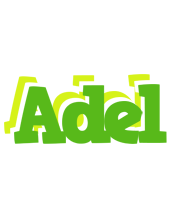 Adel picnic logo