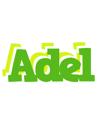 Adel picnic logo