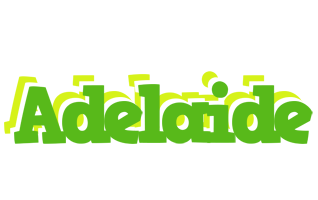 Adelaide picnic logo