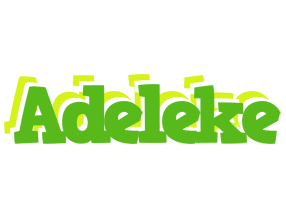 Adeleke picnic logo