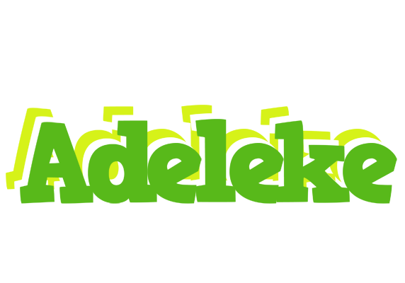 Adeleke picnic logo