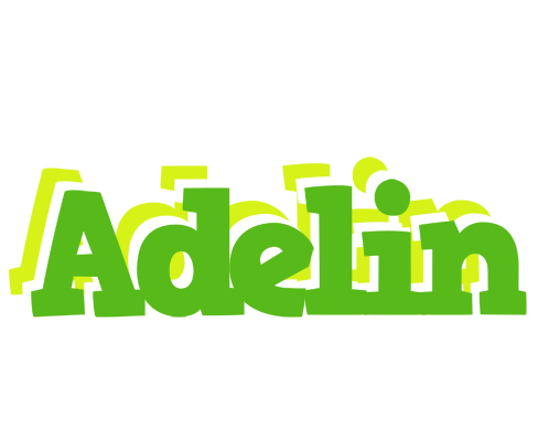 Adelin picnic logo