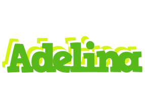 Adelina picnic logo