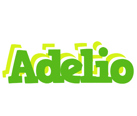 Adelio picnic logo