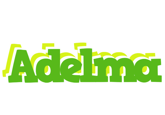Adelma picnic logo