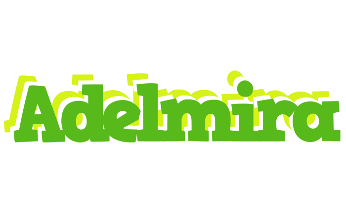Adelmira picnic logo
