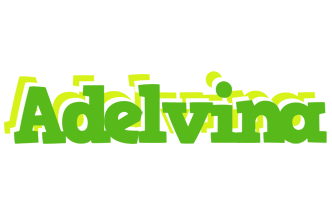 Adelvina picnic logo