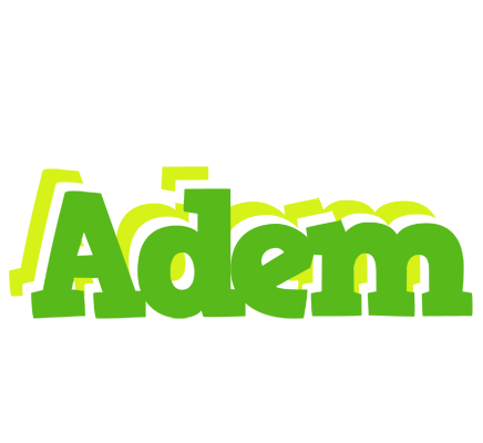 Adem picnic logo