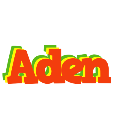 Aden bbq logo