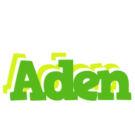 Aden picnic logo