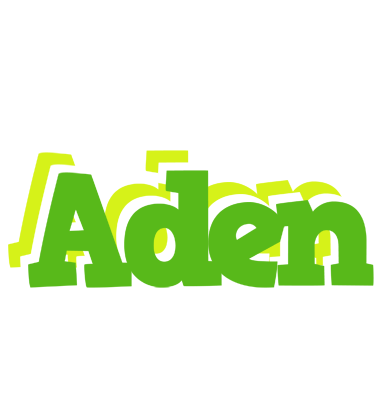 Aden picnic logo