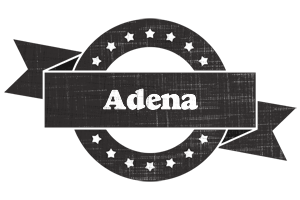 Adena grunge logo