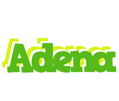 Adena picnic logo