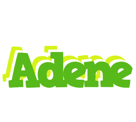 Adene picnic logo