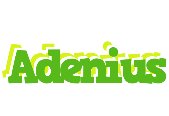 Adenius picnic logo