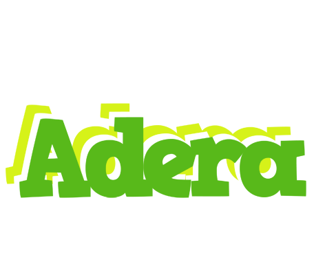 Adera picnic logo