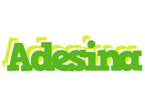 Adesina picnic logo